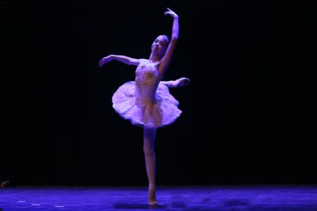 PODELITEV GERBIČEVIH PRIZNANJ IN NAGRADE 20 FOTO LJUBO VUKELIČ  